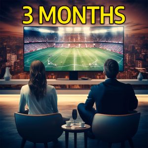 3 MONTHS